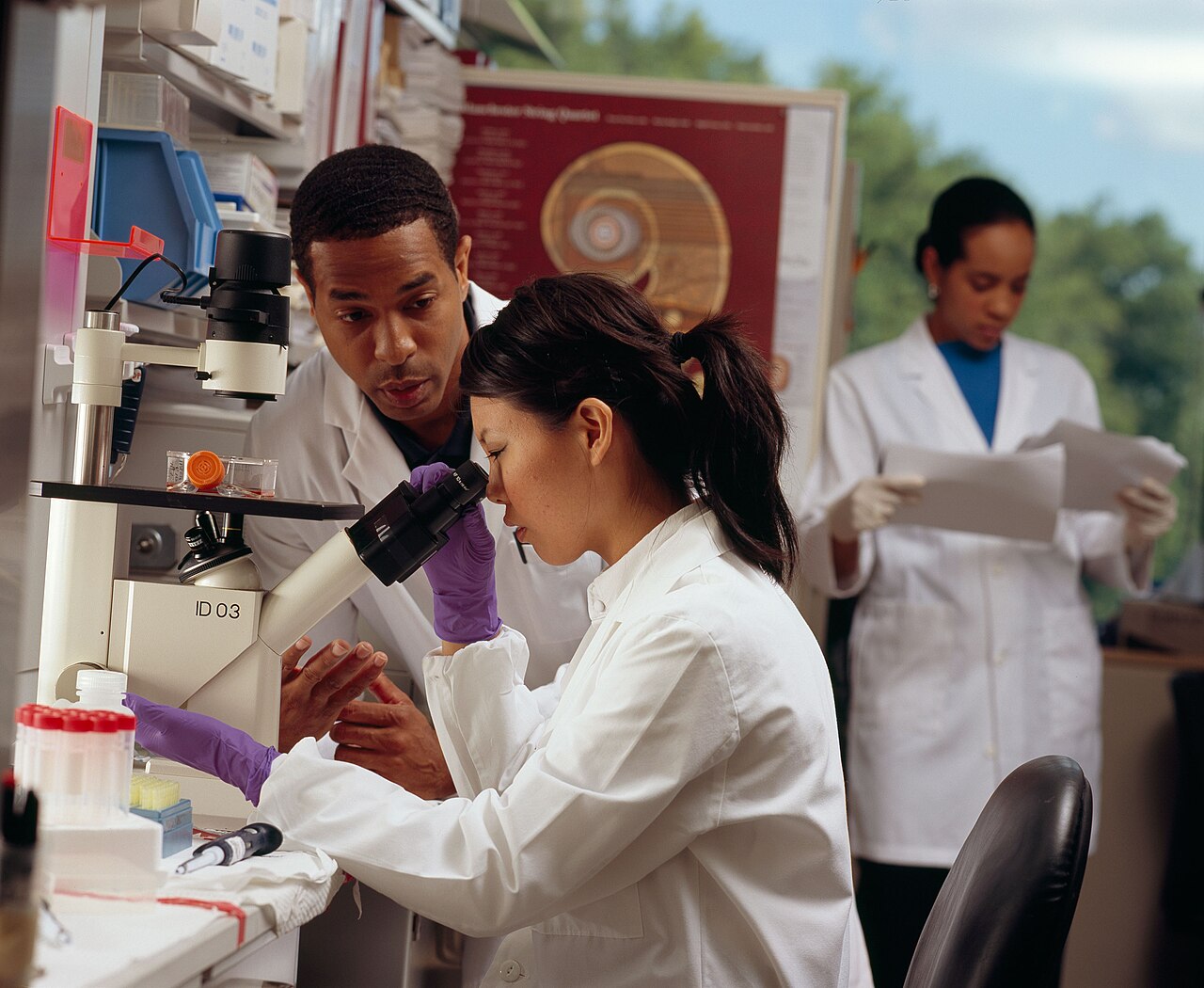 Equipo de patólogos revisando una muestra al microscopio en el laboratorio LabVida