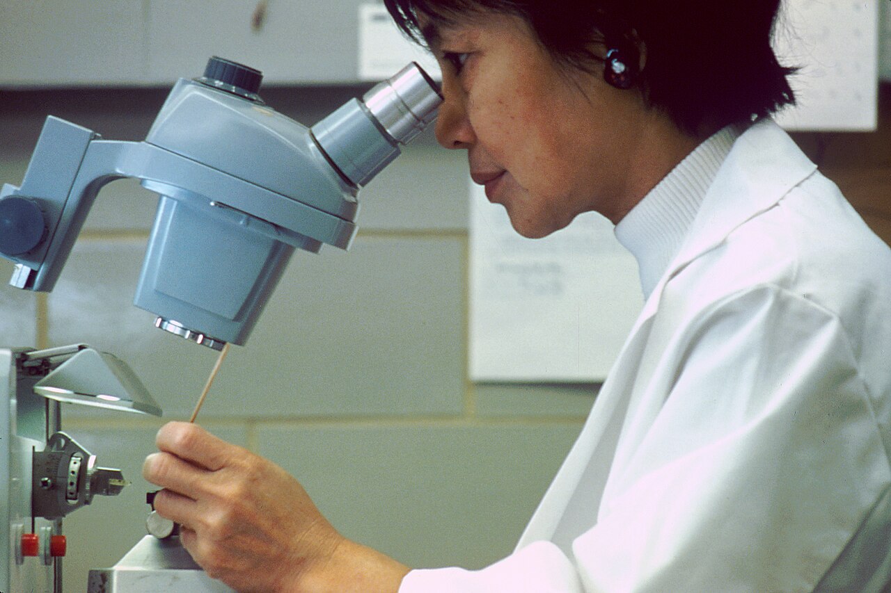Estudio de material de necropsia al microscopio en el laboratorio de patología
